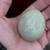 Olive Egger Hen 4 thumbnail