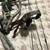 Hoyt Bow 4 thumbnail