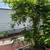 Landscaping/ home services 16 thumbnail