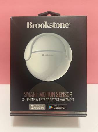 MOTION SENSOR 1