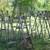 Wood Step Ladders wooden ladder choice vintage 5 thumbnail