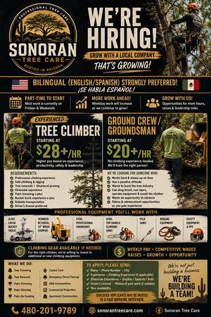 🌳 Experienced Tree Climber ($28+/HR) & Ground Crew ($20+/HR) 1
