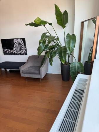 $4,150 / 1br - 700ft2 - 1 bedroom available (Brooklyn downtown)64033632771970123