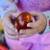 CHESTNUTS - U- PICK 3 thumbnail