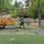Tree work, CHIPPING, STUMP GRINDING, weed whacking, firewood, clearing 12 thumbnail