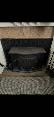 Scandia Fireplace Insert 1