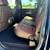 2019 Ford F-150 F150 F 150 King Ranch 2WD SuperCrew 5.5 Box IF YOU DREAM IT 19 thumbnail