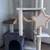 Cat Tree 3 thumbnail