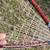 Rackets 2 thumbnail