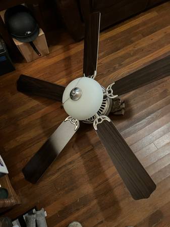 Ceiling fan 1