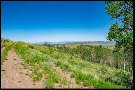 $47,500 Bonita propiedad fuera de la red, 5.13 acres63844742169987120