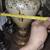 Vintage Hollywood Regency Lamp 7 thumbnail