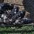Kune Kune piglets 5 thumbnail
