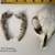 Small Carnivore Skull with Two Lower Jaw Halves - Weathered Bone Speci 6 thumbnail