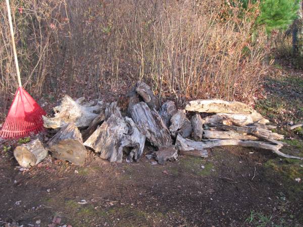 Firepit / Campfire Firewood Oak Seasoned 2 years 1