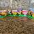 Easter Decorations 8 thumbnail