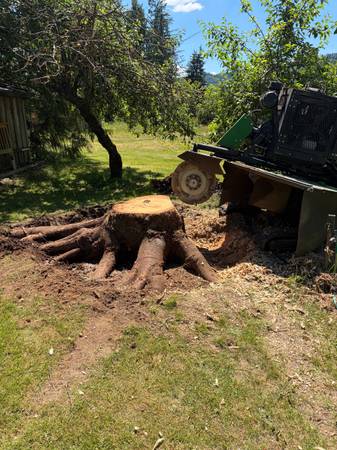 Stump Grinder 1