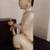 19th Century HANDCARVED Burmese MUSICIANS (Pair) 7 thumbnail