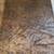 THREE (3) POTTERY BARN BLANKETS - EXCELLENT CONDITION 21 thumbnail