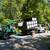 Laborer needed for tree service company 1 thumbnail
