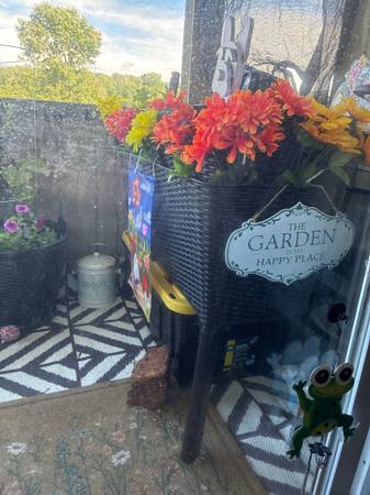 Planter 1