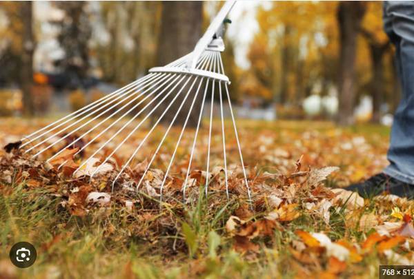 Part-Time Yard / General Help Wanted – Ideal for Student 1