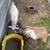Pygmy Goats 3 thumbnail