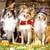 SUPER ⭐️ DOG BOARDING SERVING  NJ PA & NYC BOOK FOR FALL /WINTER!🐶🍁 1 thumbnail