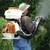 Stihl SR450 SR-450 Fogger, Mister, Blower - NEW IN THE BOX 11 thumbnail
