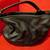 MARC JACOBS HOBO HANDBAG/CROSSBODY, BLACK 13 thumbnail