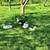 Hatching eggs - ducks 6 thumbnail
