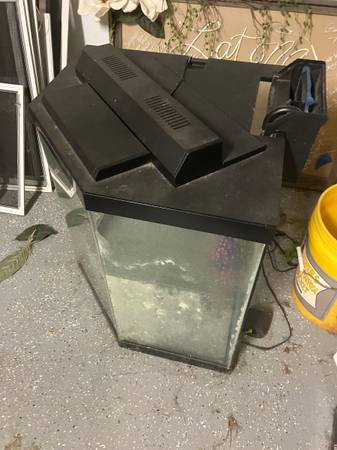 Fish tank 1