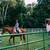 ROUND PEN PANELS*CORRAL PANELS*GATES*ANY STYLE OR WEIGHT 22 thumbnail