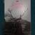 Game of Thrones - Season 1-7 Blu-Ray DVD Set US Release w/Digital Code 2 thumbnail