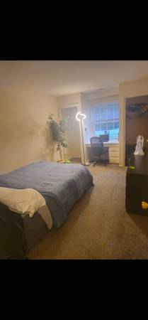Looking for roomate 1
