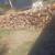Split and delivered firewood 1 thumbnail