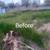 Las flores landscaping💐🌹🌷 18 thumbnail