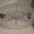 Lead Crystal Bowl Divided Dish + Lid + Spoons W. Adams Relish Dish 7 thumbnail