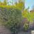 Clean up landscape 3 thumbnail