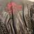 motorcycle jacket 1 thumbnail