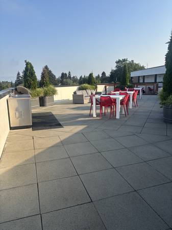 $1,100 / 289ft2 - Look & Lease Special at Bode Westwood (Westwood Village)63688549383809122