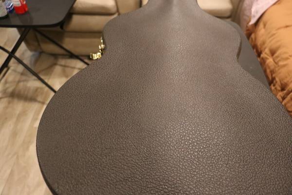 Taylor deluxe hard shell case 1