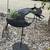 Pterodactyl Lawn Ornament 3 thumbnail