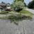 Bamboo Poles 4294 King Ave 1 thumbnail