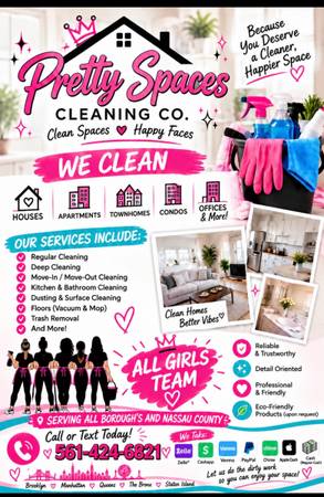 Professional Cleaning Services 1