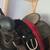 Saddles and Bridles and Lots of bits 6 thumbnail