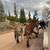 Pack Mule 1 thumbnail