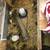 Quail, 9 thumbnail