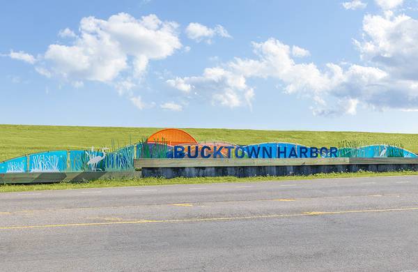 $1,495 / 1hab - 649ft2 - Su hogar renovado en Bucktown le espera - Recorra hoy (Metairie)63881896685571122
