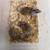 Exotic Rodents 2 thumbnail